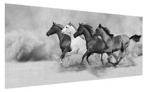 Tablou alb negru cu cai (120x50 cm)