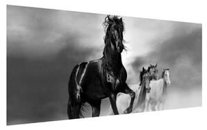 Tablou cu cal (120x50 cm)