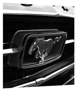 Tablou detailat cu mașina Mustang (30x30 cm)