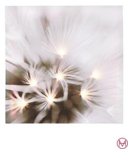 Tablou cu print digital si led 40/40 cm