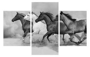 Tablou alb negru cu cai (90x60 cm)