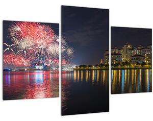 Tablou cu artificii in Singapur (90x60 cm)