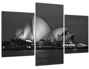 Tablou cu Opera din Sydney (90x60 cm)