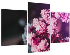 Tablou cu florile copacilor (90x60 cm)