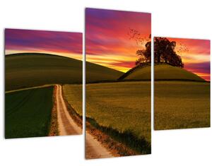Tablou cu câmp și cerul colorat (90x60 cm)