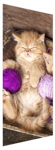 Fototapeta pentru ușă - pisicuța cu ghem violet (95x205cm)