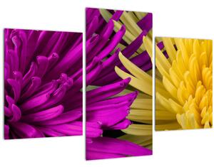 Tablou - detailu cu flori (90x60 cm)