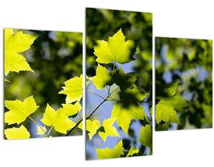 Tablou - frunze de arțar (90x60 cm)