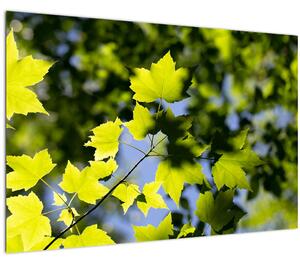 Tablou - frunze de arțar (90x60 cm)