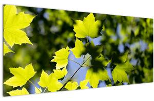 Tablou - frunze de arțar (120x50 cm)