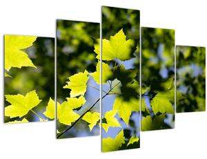 Tablou - frunze de arțar (150x105 cm)