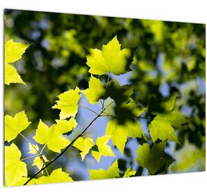 Tablou - frunze de arțar (70x50 cm)