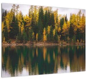 Tablou cu lac de pădure (70x50 cm)
