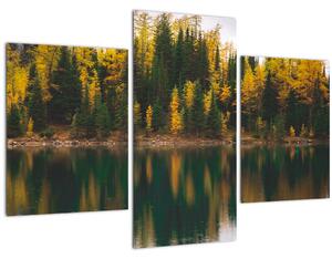 Tablou cu lac de pădure (90x60 cm)