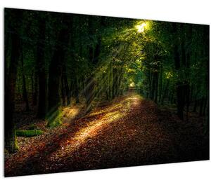 Tablou cu poteca prin pădure (90x60 cm)