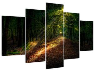 Tablou cu poteca prin pădure (150x105 cm)