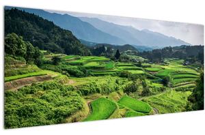 Tablou cu câmp de orez (120x50 cm)