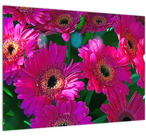 Tablou - floare (70x50 cm)