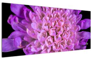 Tablou detailat cu floare (120x50 cm)