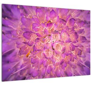 Tablou detailat cu floare (70x50 cm)