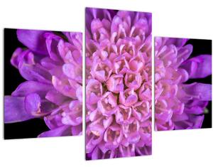 Tablou detailat cu floare (90x60 cm)