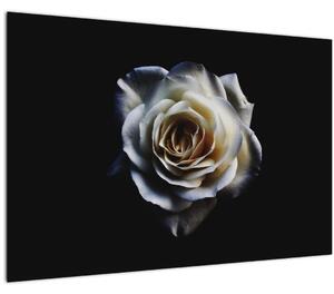 Tablou cu trandafir alb (90x60 cm)