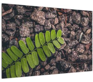 Tablou cu planta verde (90x60 cm)