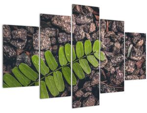 Tablou cu planta verde (150x105 cm)