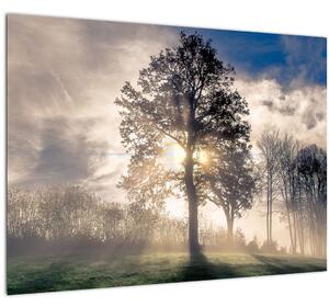 Tablou cu copac în ceață (70x50 cm)