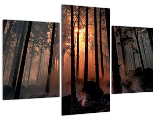 Tablou cu pădure întunecată (90x60 cm)
