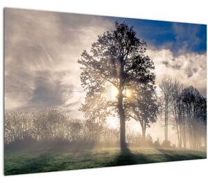 Tablou cu copac în ceață (90x60 cm)