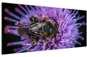 Tablou cu albina pe floare (120x50 cm)