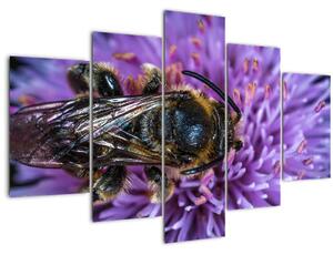 Tablou cu albina pe floare (150x105 cm)
