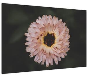 Tablou cu floare portocalie (90x60 cm)