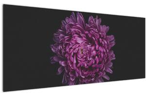 Tablou cu floare violetă (120x50 cm)