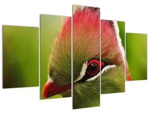 Tablou cu pasărea colorată (150x105 cm)