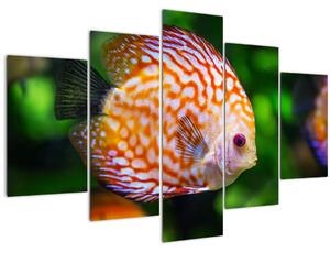 Tablou cu pește (150x105 cm)