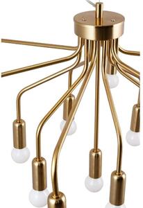 Globen Lighting - Roots 70 Lustră Pendul Brushed Brass Globen Lighting