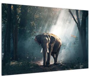 Tablou cu elefant în djunglă (90x60 cm)