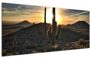 Tablou - cactușii la soare (120x50 cm)
