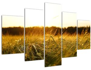 Tablou iarba cu rouă (150x105 cm)