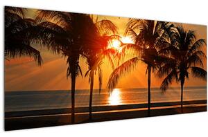 Tablou cu palmier în apus de soare (120x50 cm)