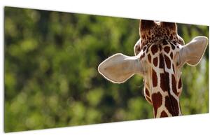 Tablou cu girafă din spate (120x50 cm)