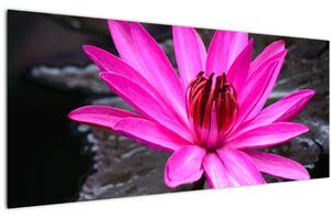 Tablou - floarea roz (120x50 cm)