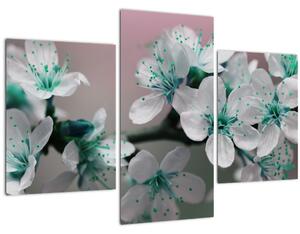 Tablou cu floare - turcoaz (90x60 cm)
