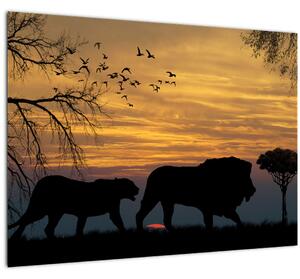 Tablou cu Safari (70x50 cm)