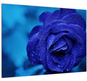 Tablou cu trandafir albastru (70x50 cm)