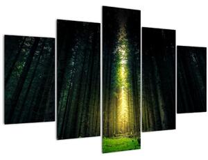 Tablou cu pădurea întunecată (150x105 cm)