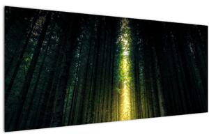 Tablou cu pădurea întunecată (120x50 cm)
