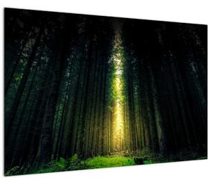 Tablou cu pădurea întunecată (90x60 cm)